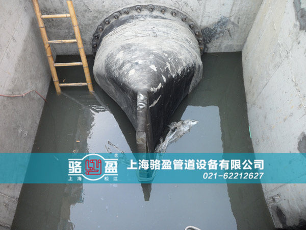 哈爾濱市賓縣法蘭式鴨嘴閥安裝現場